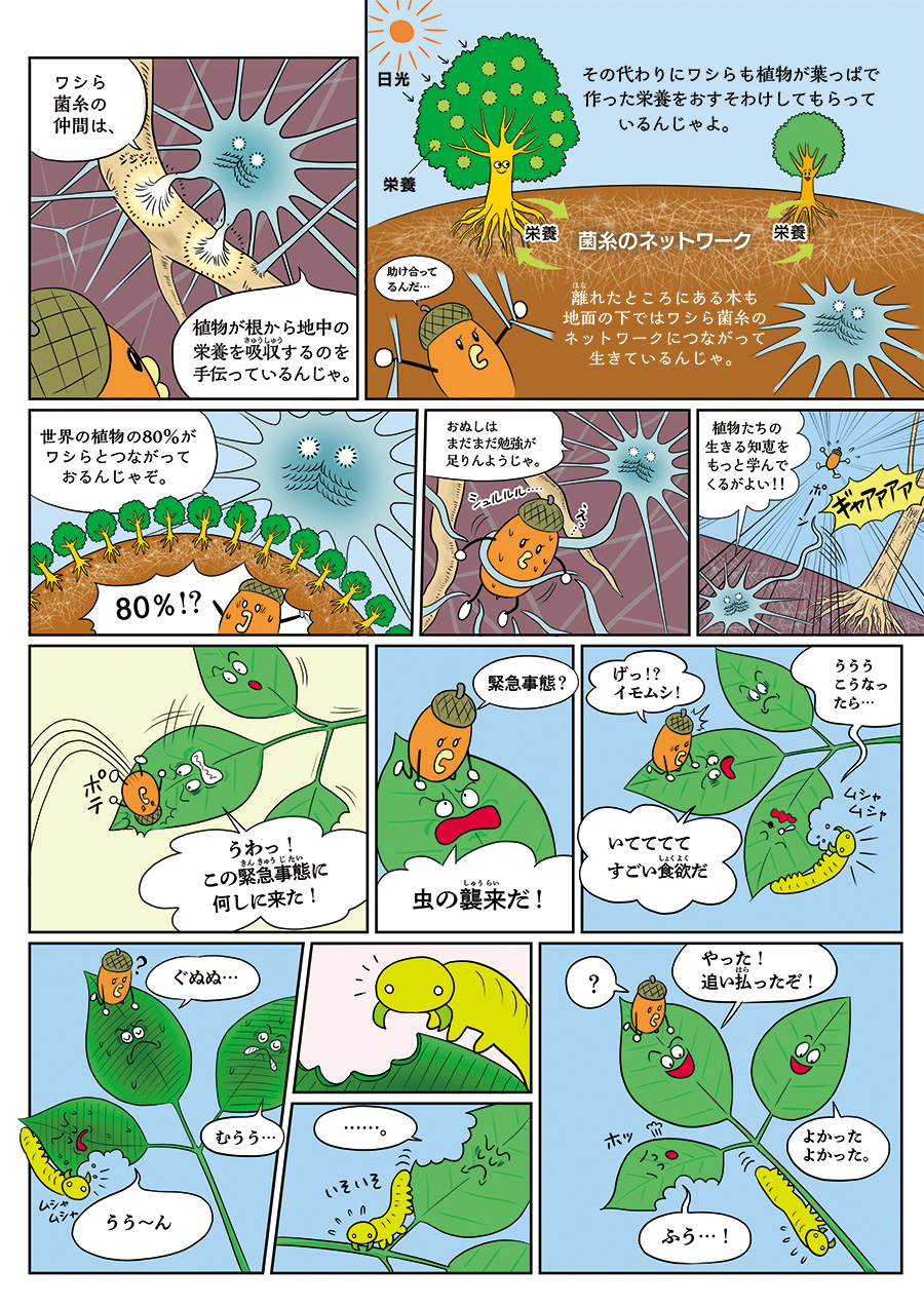 2ページ目