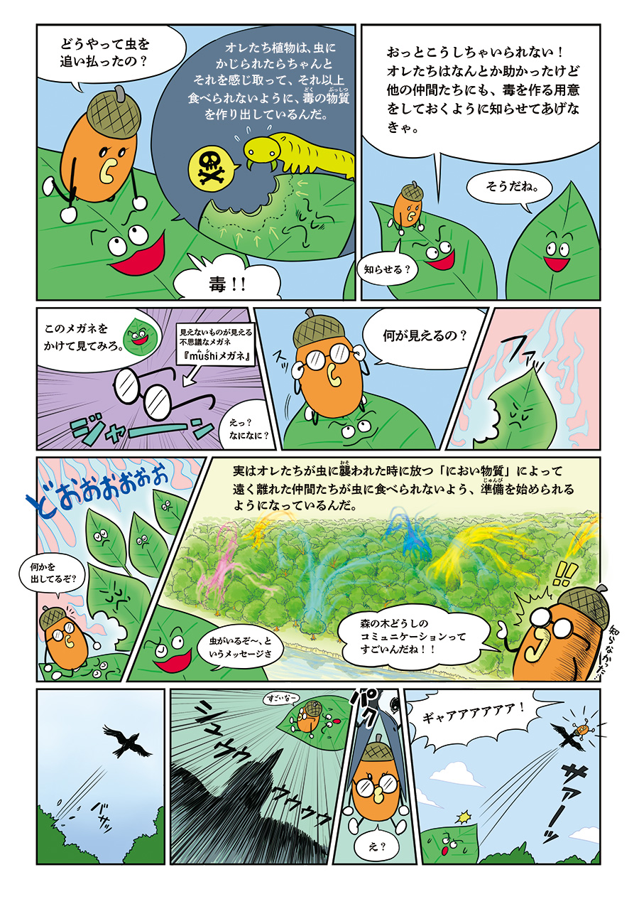 3ページ目