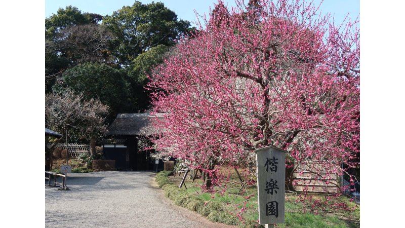 茨城県