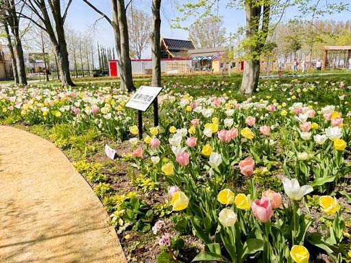 Combination of Spring Flowers (As of Apr 14)