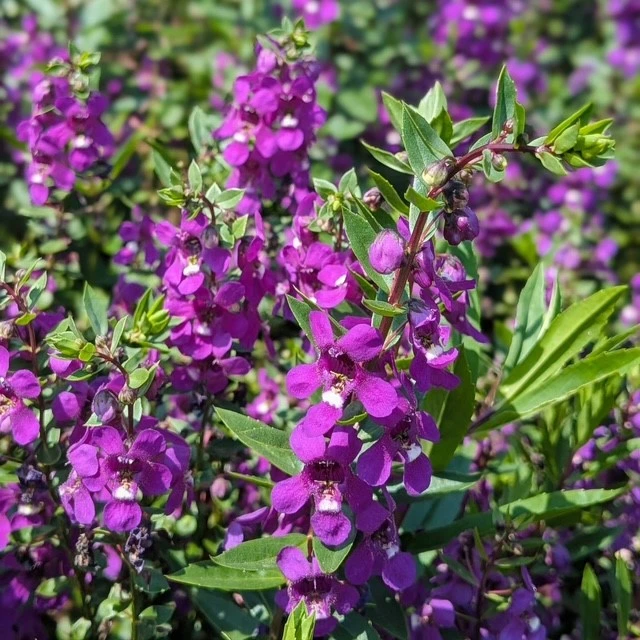 userpost195